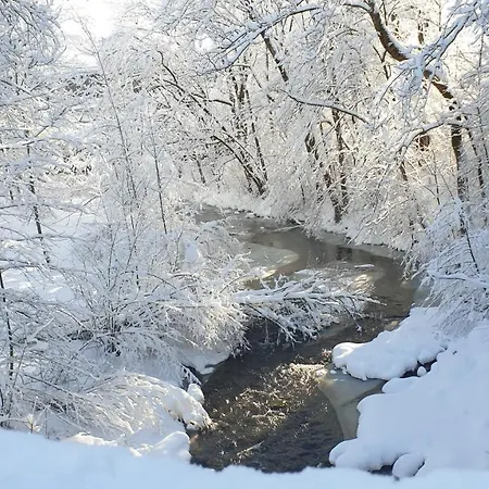 Appartement Schoenfeld *
