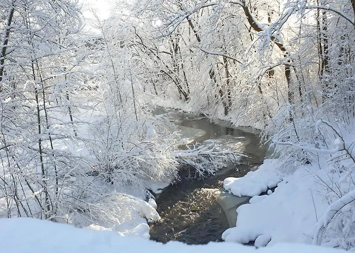 Appartement Schoenfeld *