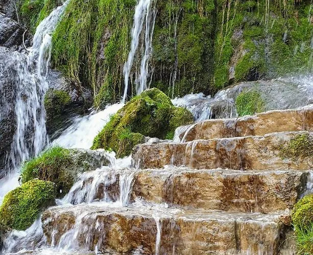 Schoenfeld * Balingen